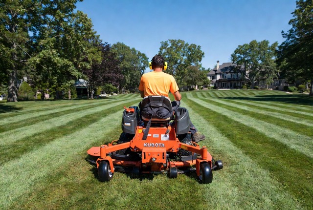 Commercial property grounds maintenance
