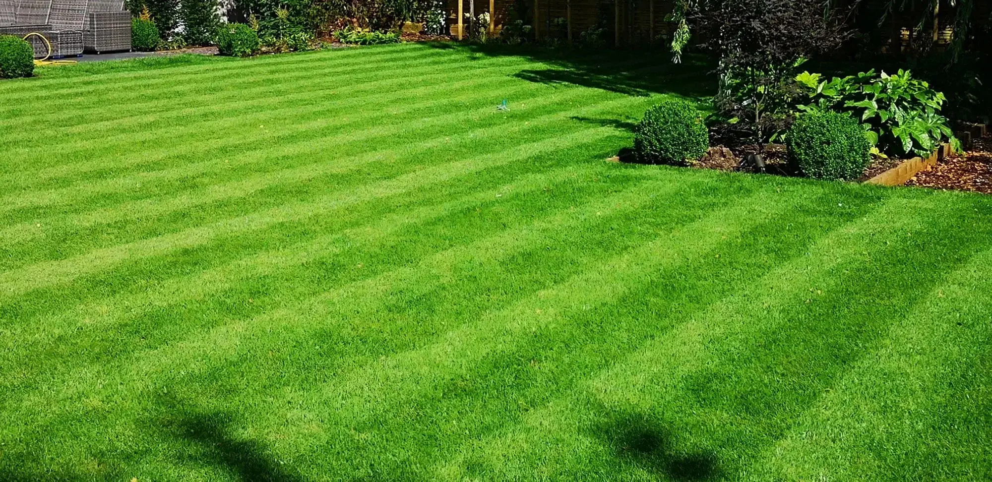 Professional lawn care in Oakville