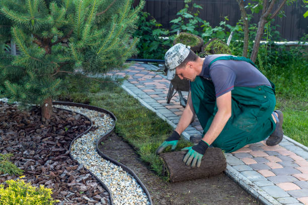 Professional sod installation